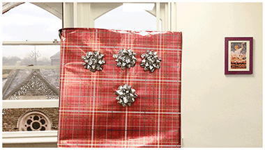 Christmas Diary- Amey Higgon