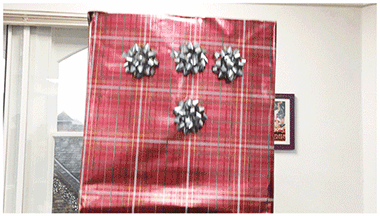 Christmas Diary- Hannah Stacey