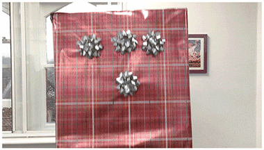 Christmas Diary- Lauren Reed