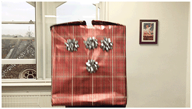 Christmas Diary- Richard Davis